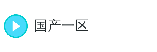 国产一区 品牌Logo